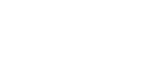 space-logo-3